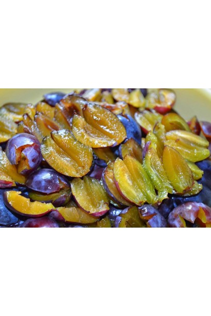 Слива домашняя Чачакская поздняя