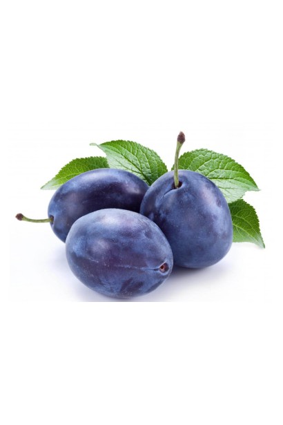 Prunus Chachak Early – для свіжого споживання