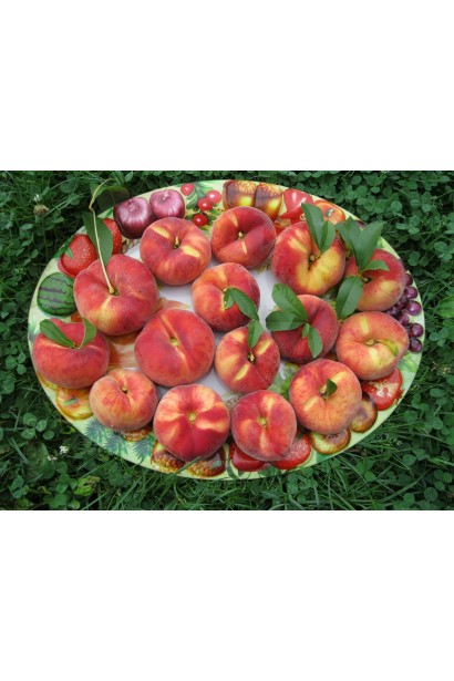 Великі плоди персика "Колінз" підходять для десертів, випічки та консервування.