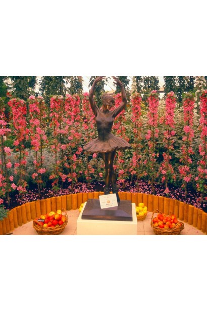 Дерево персика Сувенір: компактне і елегантне, з високою врожайністю.