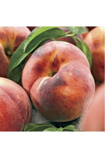 Соковиті плоди персика "Редхейвен" з насиченою жовтою м’якоттю та червоним рум’янцем