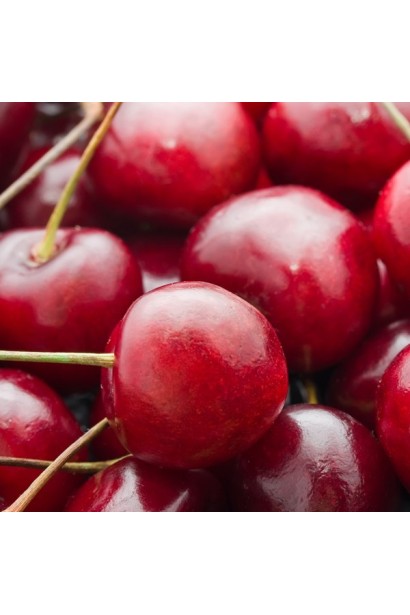 Ранні плоди черешні Валерій Чкалов для садівників.