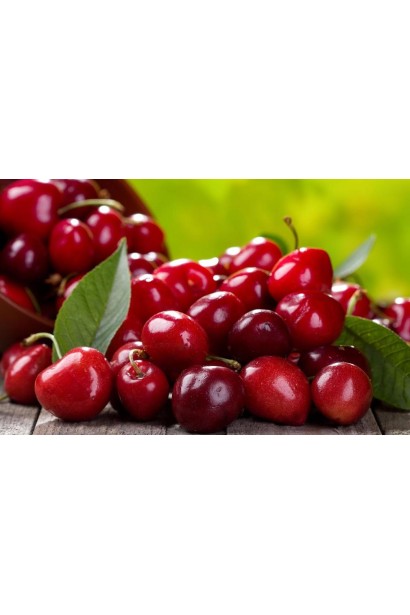 Prunus cerasus Cherry Miracle