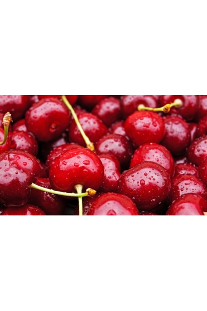 Prunus Cherry Miracle