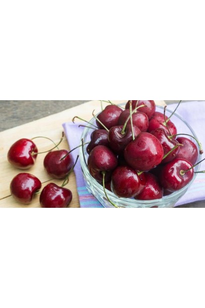 Prunus cerasus Shpanka