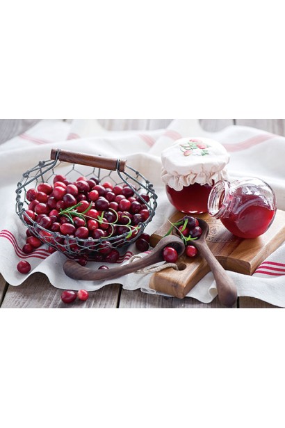 Вишня пізня North Star