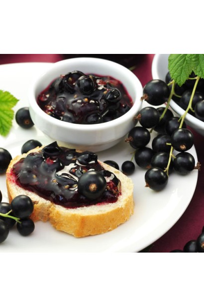 Смородина Рубен – ягоды для изготовления варенья и компотов