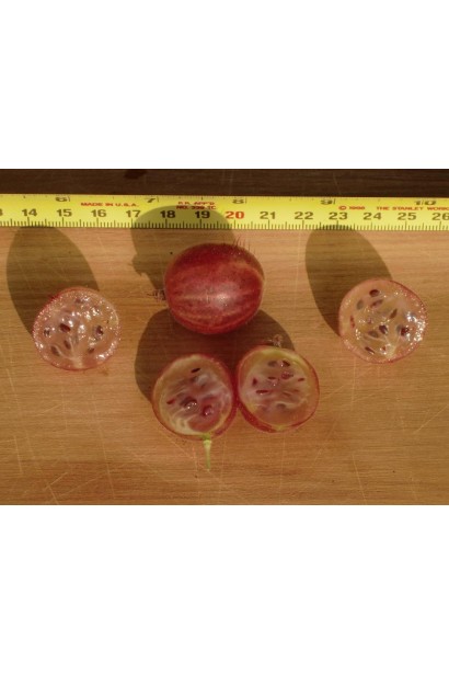 Аґрус Чорномор розрізані ягоди