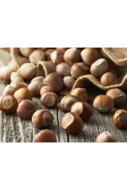 Стиглі плоди Corylus avellana Webb’s Prize Cob крупним планом.