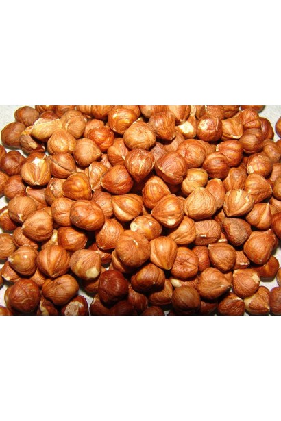 Плоди Corylus avellana Cosford, підготовлені до зберігання.