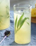 Полин лимонний | Полынь лимонная | Artemisia balchanorum