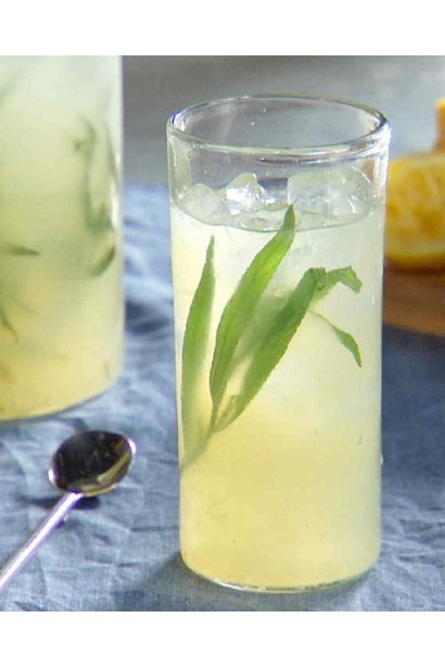 Полин лимонний використовують при виробництві різних напоїв