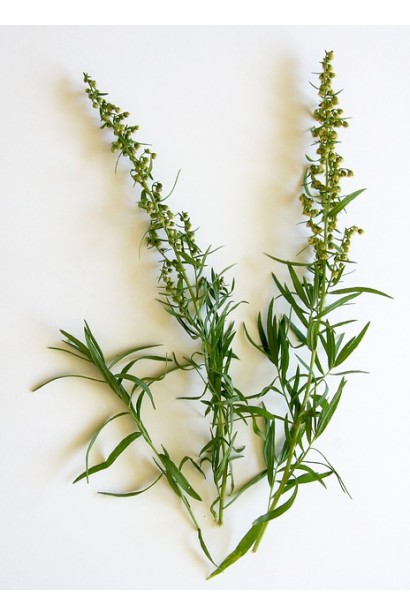 Кущ полину лимонного гармонійно вписується у сухі композиції.