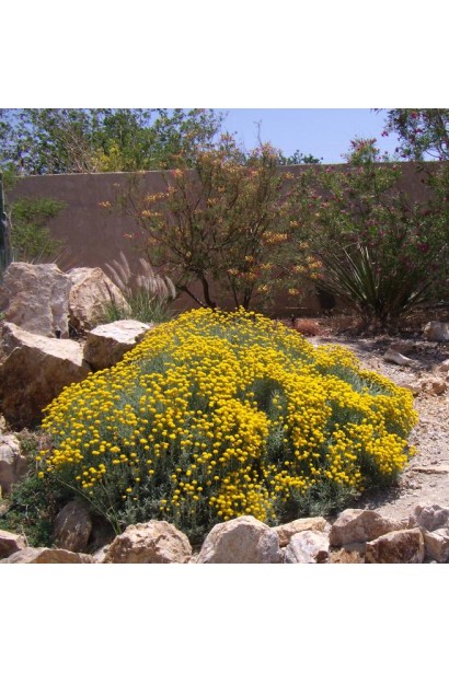 Санмайт для ландшафтного дизайну