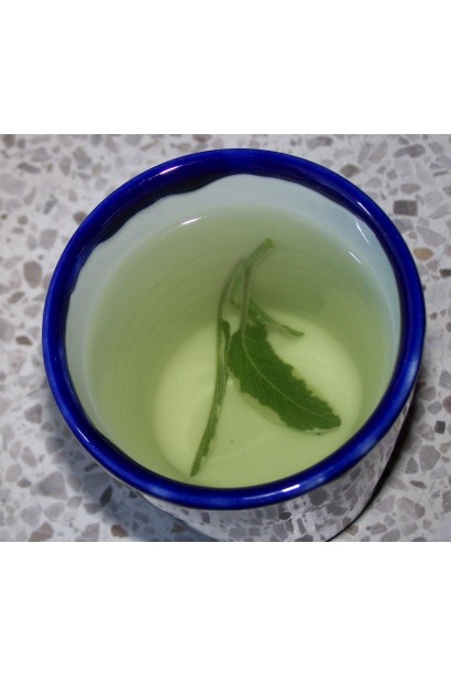 Листя Salvia officinalis для кулінарії, медицини й естетики.