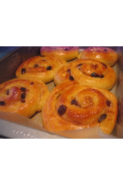 Виноград Маршал Фош | Виноград Маршал Фош | Vitis vinifera Marechal Foch