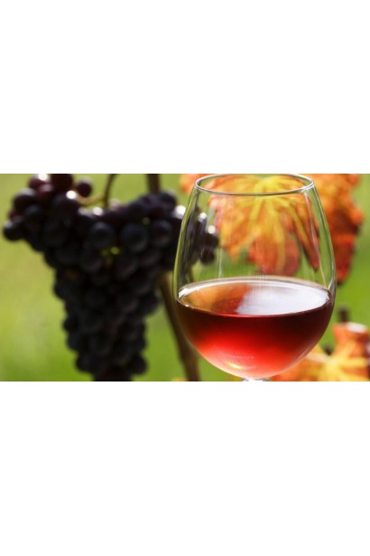 Виноград винный Регент