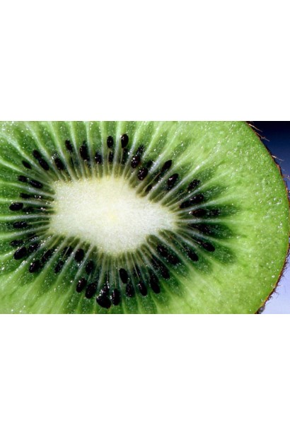 Актинідія Issai плід в розрізі