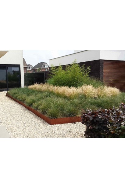 Овсяница Гаутери в композиции с другими декоративными растениями