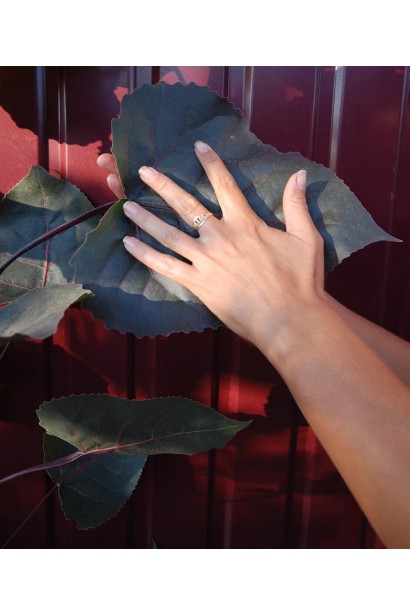 Тополя дельтоподібна Пурпл Тауер - листя