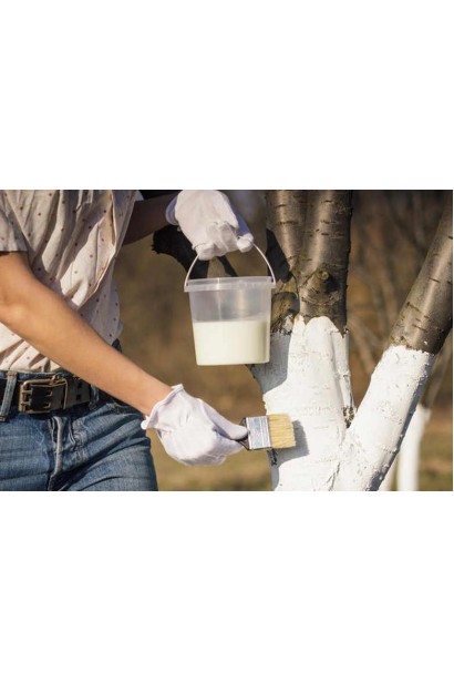 Садова фарба Блок екстра біла Агрохімпак Україна застосування