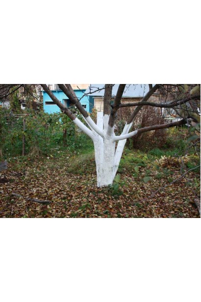 Садова фарба Блок екстра біла Агрохімпак Україна