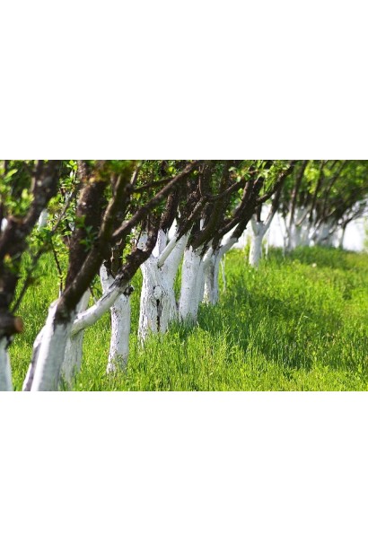 Садова фарба Блок екстра біла Агрохімпак Україна