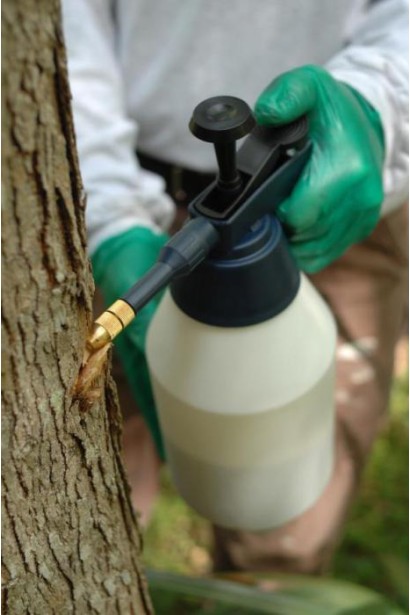 Залізний купорос 500 грам, фунгіцид