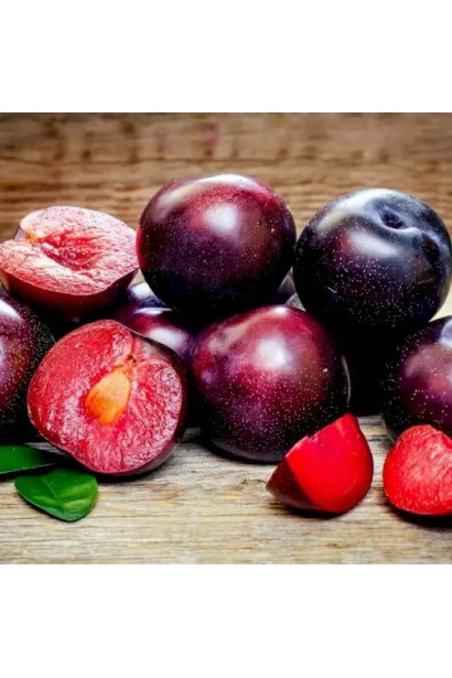 Плоди шарафуги крупним планом