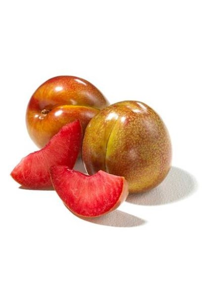 Гібрид сливи та персика — нектаріум