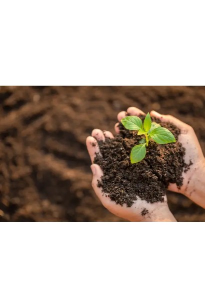 Плантафол 10-54-10: оптимальное удобрение для поддержания роста растений.