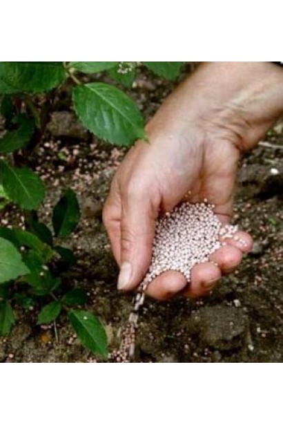 Высокое содержание фосфора в Плантафоле 10-54-10 способствует развитию корней.