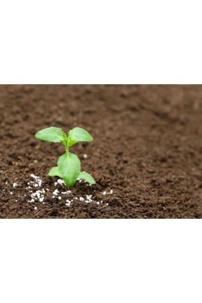 Подкормка Плантафол 10-54-10 стимулирует здоровое развитие растений.