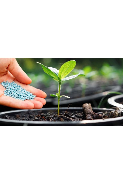 Плантафол 10-54-10: отличное удобрение для повышения эффективности агрономии.