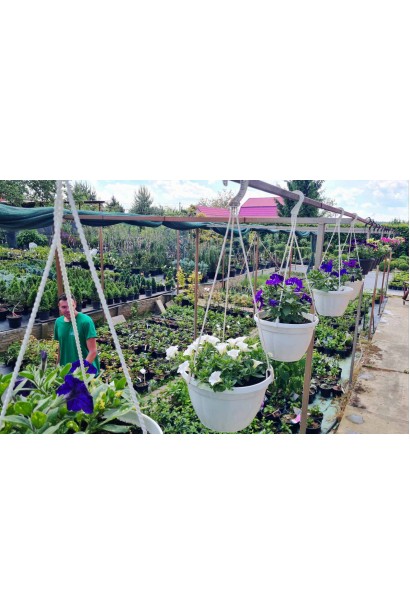 Сурфінія в кашпо з крючком для підвісу