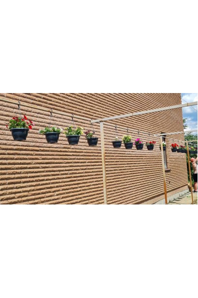 Сурфінія ампельна в горшку(кашпо) купити в розсаднику