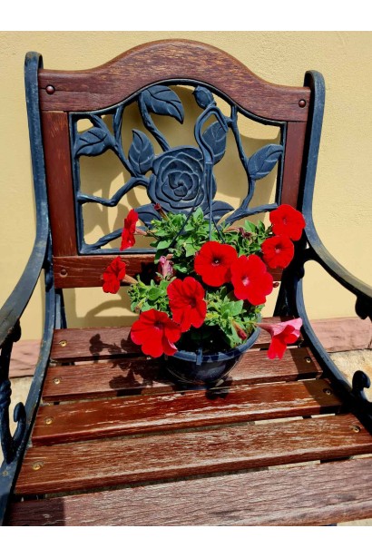 Великі квіти Сурфінії ампельної в горшку(кашпо) 