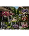 Petunia × hybrida (Surfinia®, Sulfinia®) | Сурфінія (Сульфінія) — каскадна петунія