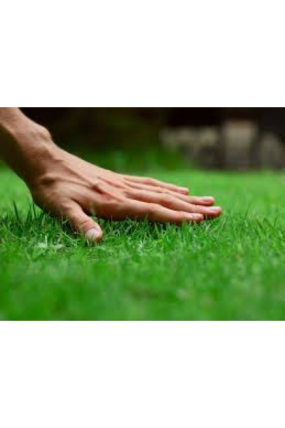 Трава Turfline Shadow 1 кг