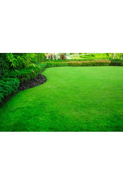 Семена газонной травы Turfline Shadow (теневая) DLF 1 кг