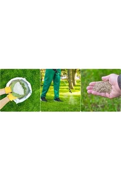 Семена газона DLF Turfline Shadow