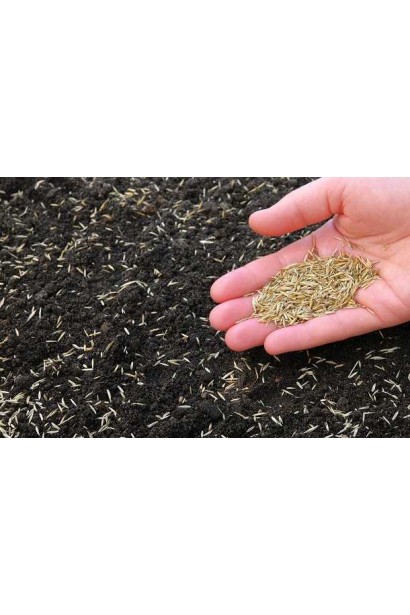 Смесь для густого теневого газона.