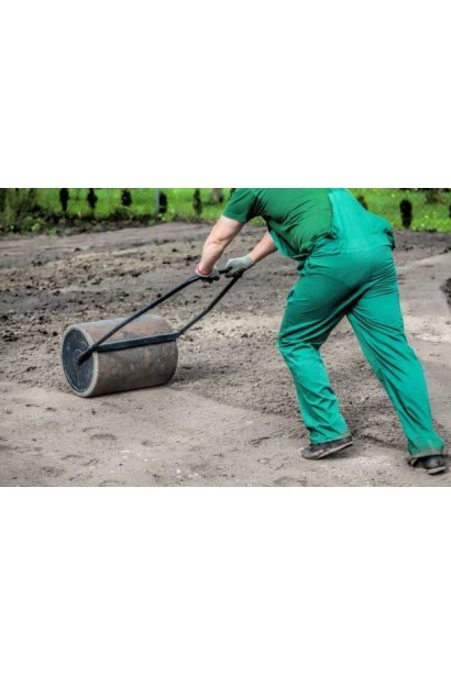 Семена газонной травы DLF Turfline Shadow (теневая) 1 кг 