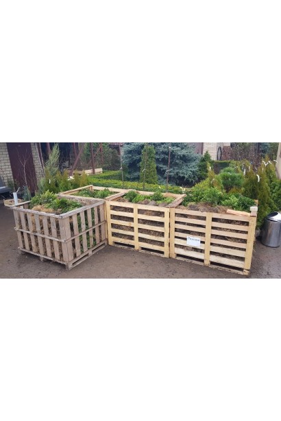 Європалета — надійне та економічно вигідне рішення для зберігання продукції.