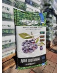 Субстрат для лохини в садовому центрі