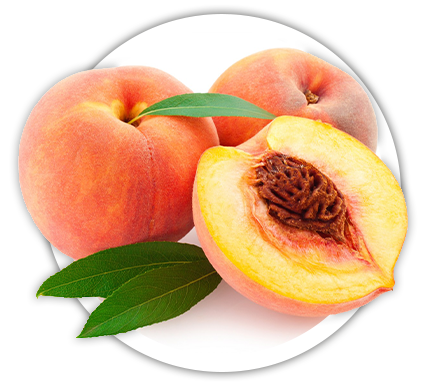 Персик Prunus persica